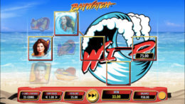 Baywatch Slot e1545050553252